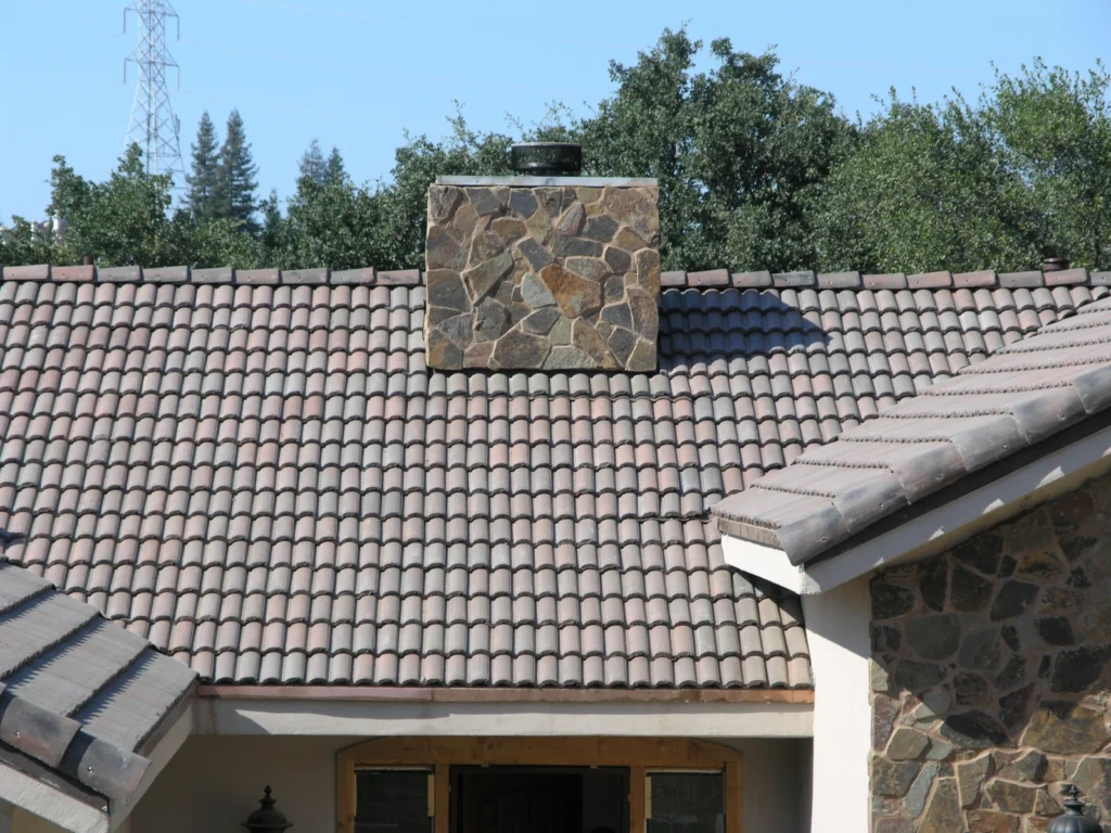 European, Bartile #496 (photo 1)