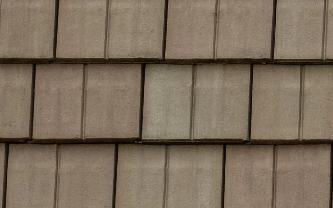 Legendary Slate – #162 Close-Up, color close-up