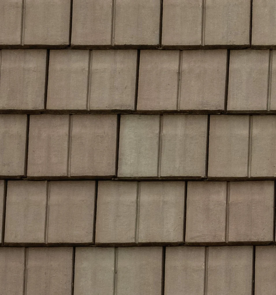 Legendary Slate – #162 Close-Up, color close-up