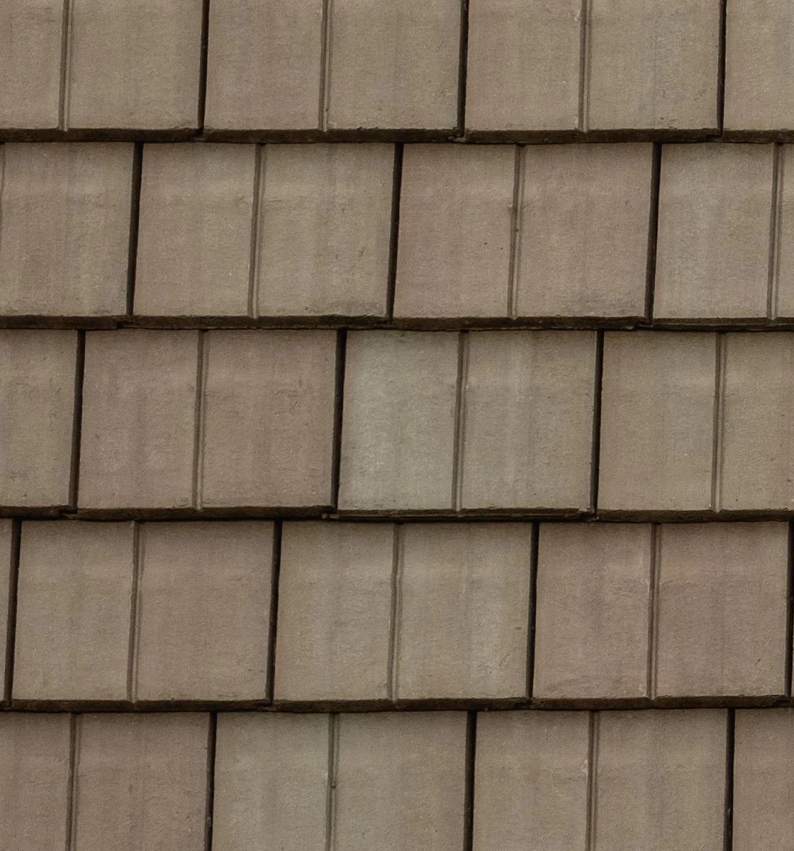Legendary Slate – #162 Close-Up, color close-up