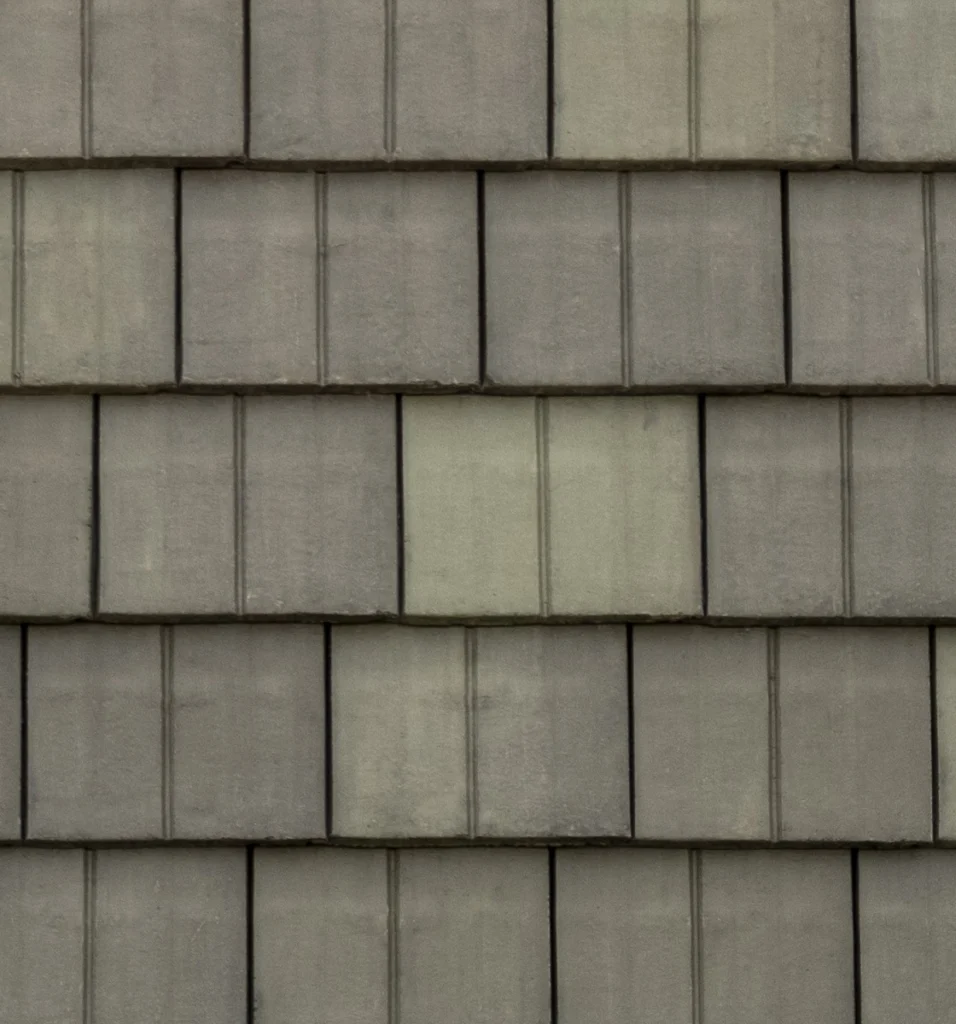 Legendary Slate – #33 Close-Up, color close-up