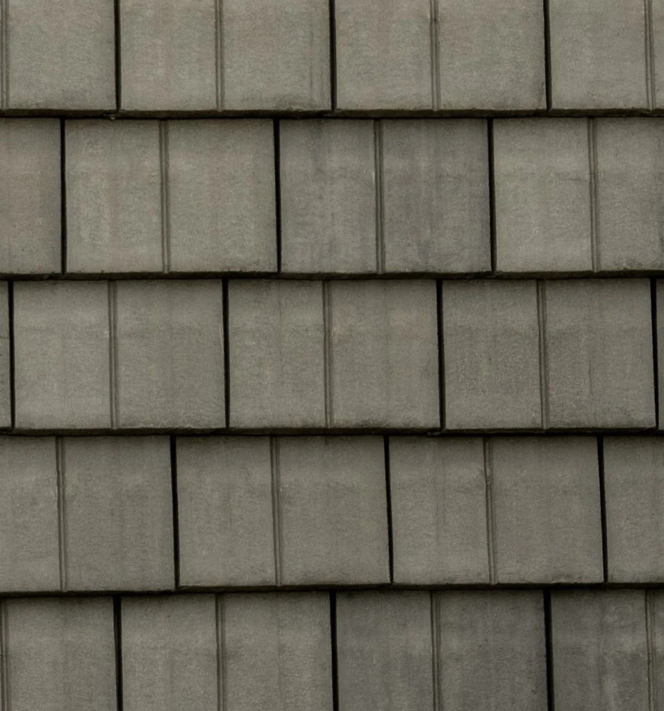 Legendary Slate – #35 Close-Up, color close-up