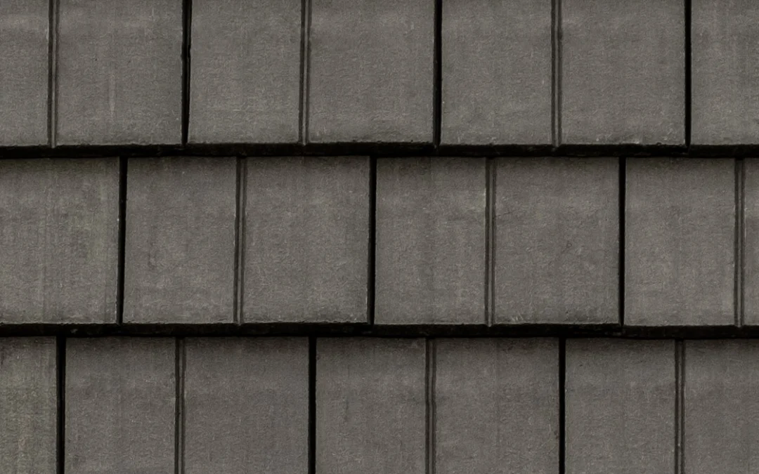 Legendary Slate – #695 Close-Up, color close-up