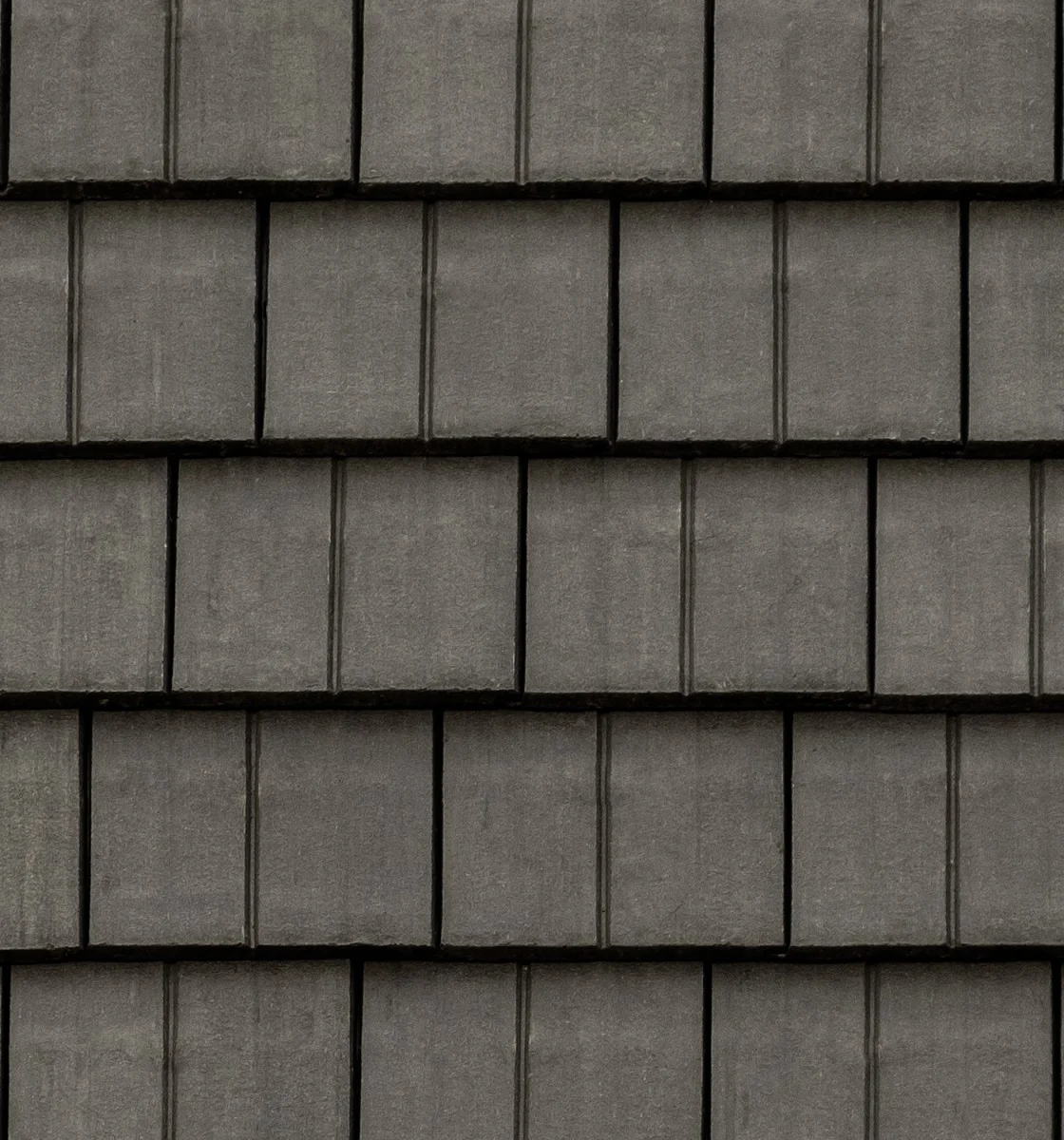 Legendary Slate – #695 Close-Up, color close-up