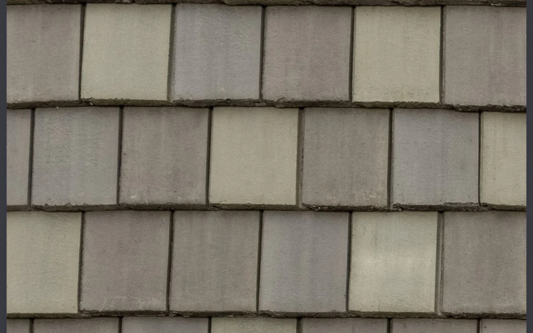 New England Slate – #3315 Close-Up, color close-up