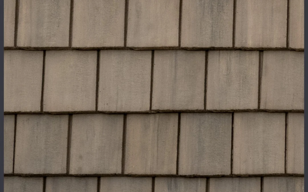 New England Slate – #341 Close-Up, color close-up