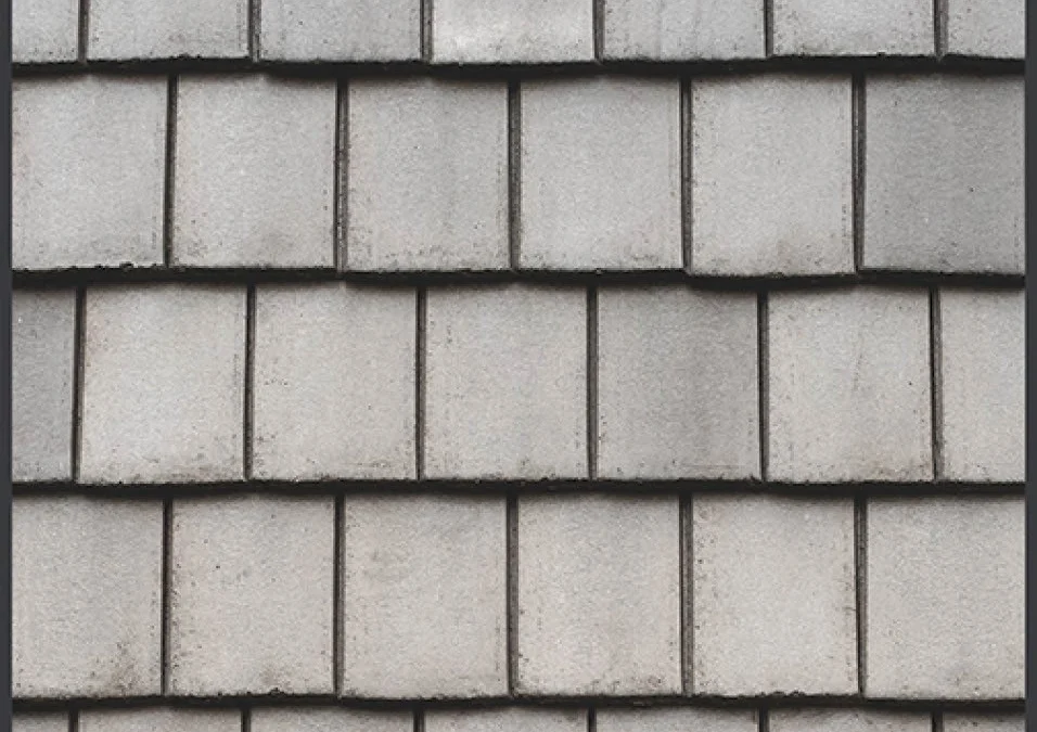 New England Slate – #35 Close-Up, color close-up