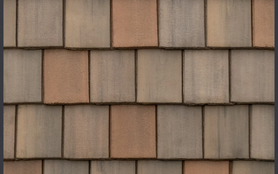 New England Slate – #4955 Close-Up, color close-up