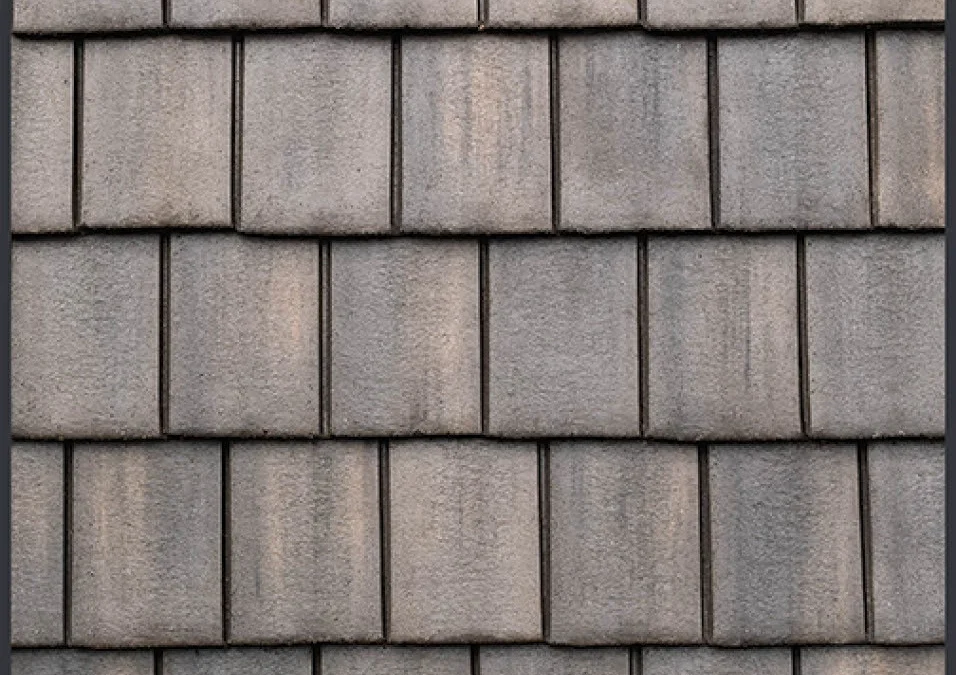New England Slate – #613 Close-Up, color close-up