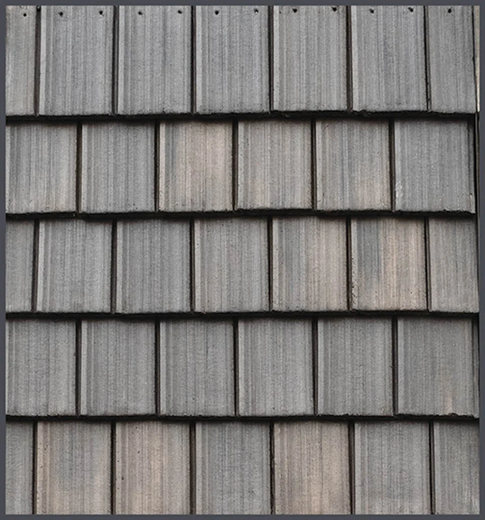 Split Timber – #613 Close-Up, color close-up