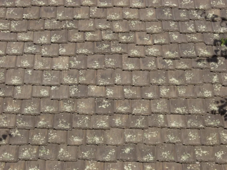 Split Timber V#1607, Vintage Texture roof (photo 1)